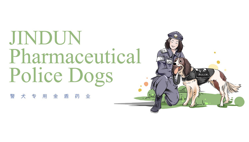 品牌全案策划