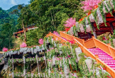 文旅公司进行品牌策划的必要性及实际意义