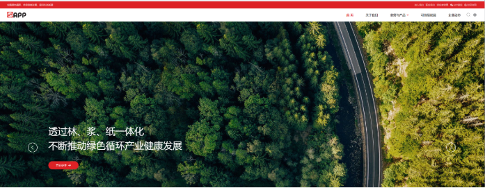 《金光集团》网站建设-买球体育平台品牌数字化